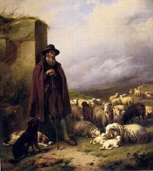 Sheep 176, unknow artist